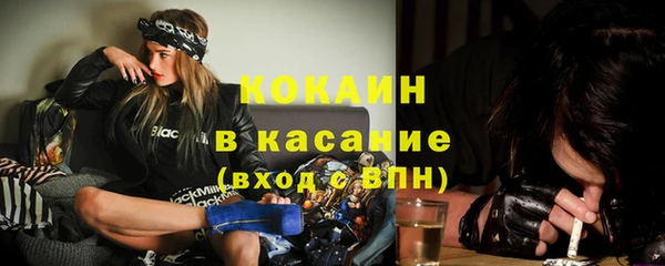 МДПВ Михайлов