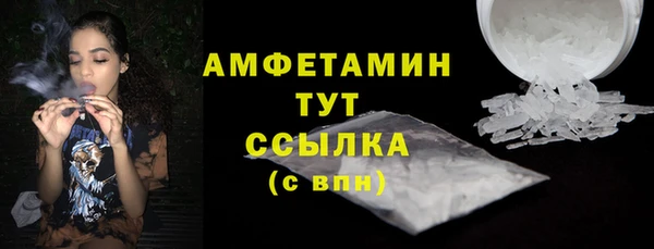 МДПВ Михайлов