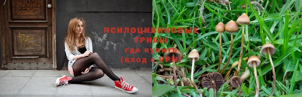героин Михайловка
