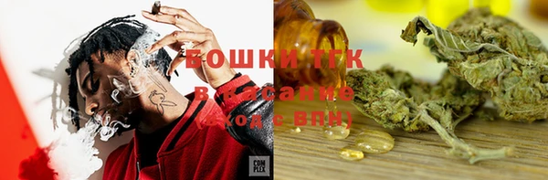МДПВ Михайлов