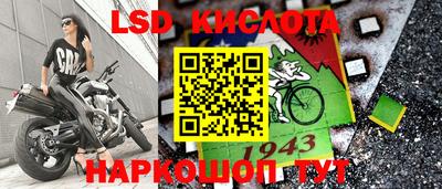 эйфоретик Гатчина