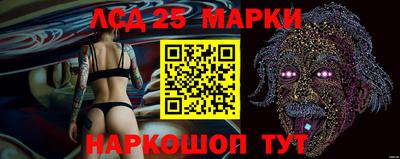 эйфоретик Гатчина