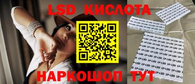 крисы Гагарин