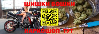 крисы Гагарин