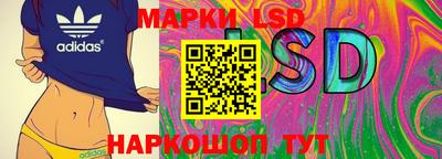 эйфоретик Гатчина