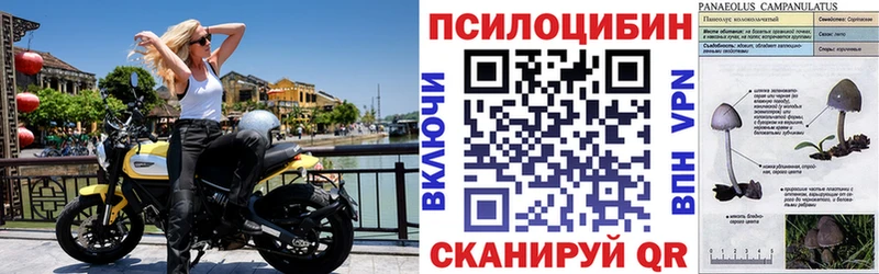 Псилоцибиновые грибы Psilocybine cubensis  МЕГА зеркало  Карпинск 
