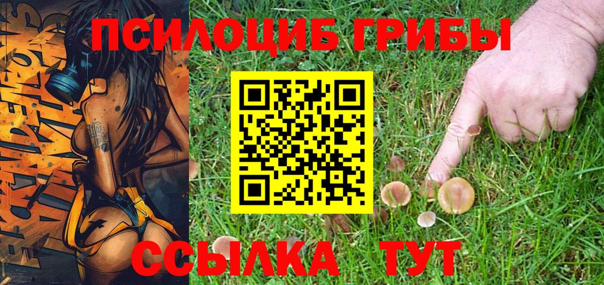 Галлюциногенные грибы GOLDEN TEACHER  Псилоцибиновые грибы ЛСД  Вход с VPN  Карпинск 